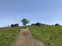 押戸石の丘の写真・動画_image_281342