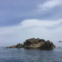 但馬海岸遊覧船の写真・動画_image_281383