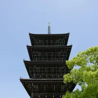 善通寺の写真・動画_image_281406