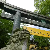 金刀比羅宮（こんぴらさん）の写真・動画_image_281422