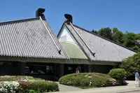 屋島寺の写真・動画_image_281464