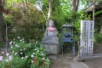 志度寺の写真・動画_image_281472