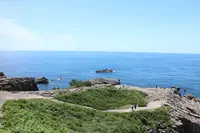 東尋坊の写真・動画_image_281534