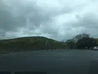 秋吉台の写真・動画_image_281673