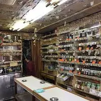 ヒデヨシ商店の写真・動画_image_281703