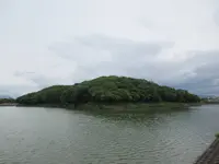 土師ニサンザイ古墳の写真・動画_image_281808