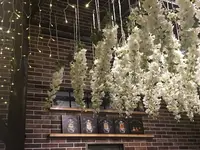 パフェ専門店 Lampの写真・動画_image_282067