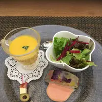 光の穂の写真・動画_image_282075