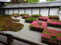 東福寺の写真・動画_image_282101