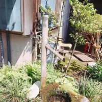 大洗磯前神社の写真・動画_image_282136