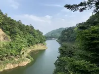 回顧の吊橋の写真・動画_image_282299