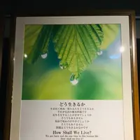 大本山永平寺の写真・動画_image_282362