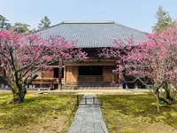 瀧谷寺の写真・動画_image_282365