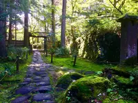 平泉寺白山神社の写真・動画_image_282372