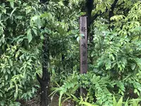 懿徳(いとく)天皇 大和の輕の境岡の宮伝承の地の写真・動画_image_282555