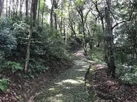 孝安天皇 玉手丘上陵の写真・動画_image_282563
