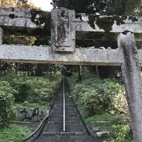 吉備津神社の写真・動画_image_282575