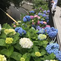 成就院の写真・動画_image_283043