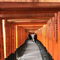 伏見稲荷大社の写真・動画_image_283062