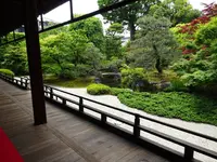 正伝永源院の写真・動画_image_283790