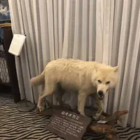 ベンの家の写真・動画_image_283942