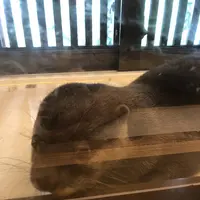 北野坂 か和うそ Cafeの写真・動画_image_283943