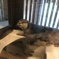 北野坂 か和うそ Cafeの写真・動画_image_283944