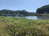 八岐大蛇公園の写真・動画_image_284056
