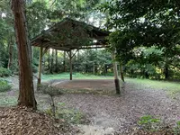 玉作湯神社の写真・動画_image_284072