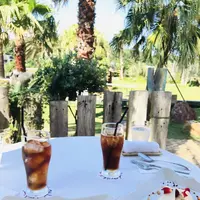 ヴェント・エ・イル・レオーネの写真・動画_image_284223