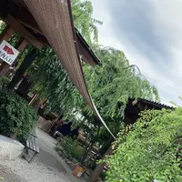 山越うどんの写真・動画_image_284315