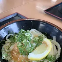 本格手打うどん はゆかの写真・動画_image_284318