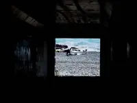 鯵壱北條の写真・動画_image_284387