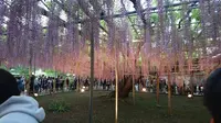 あしかがフラワーパークの写真・動画_image_284444
