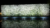 あしかがフラワーパークの写真・動画_image_284452
