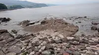 しょうとく丸の写真・動画_image_284468