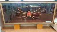 ケープ真鶴の写真・動画_image_284473