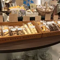 ボリジの写真・動画_image_284624