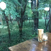 ボリジの写真・動画_image_284626