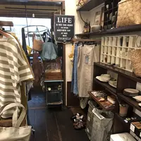 ボリジの写真・動画_image_284628
