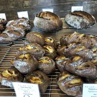 kanel breadの写真・動画_image_284647