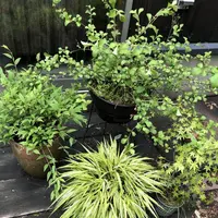 naozoの写真・動画_image_284667