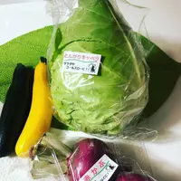那須いちやホテルの写真・動画_image_284930