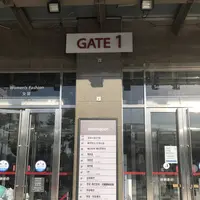 スパレックス東大門の写真・動画_image_284951