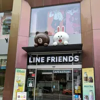 line Friends Store, 梨泰院旗艦店の写真・動画_image_285245