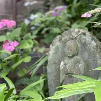 長谷寺の写真・動画_image_285520
