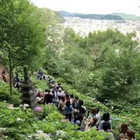 長谷寺の写真・動画_image_285522