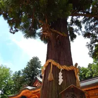 穂高神社の写真・動画_image_285971