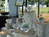 安曇野アートヒルズミュージアムの写真・動画_image_285981