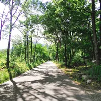 Good Old Land （グッドオールドランド）の写真・動画_image_285996